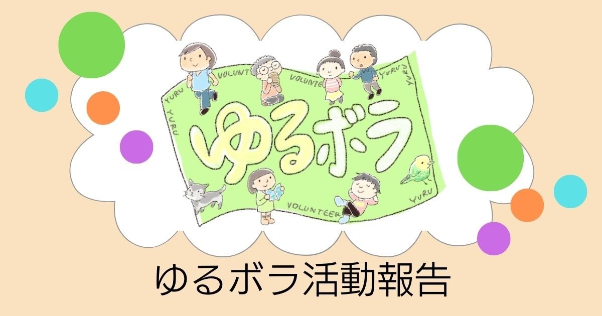 【ゆるボラ】ボランティア体験会レポート：「大阪マラソン2024」大会運営ボランティア活動（給水）